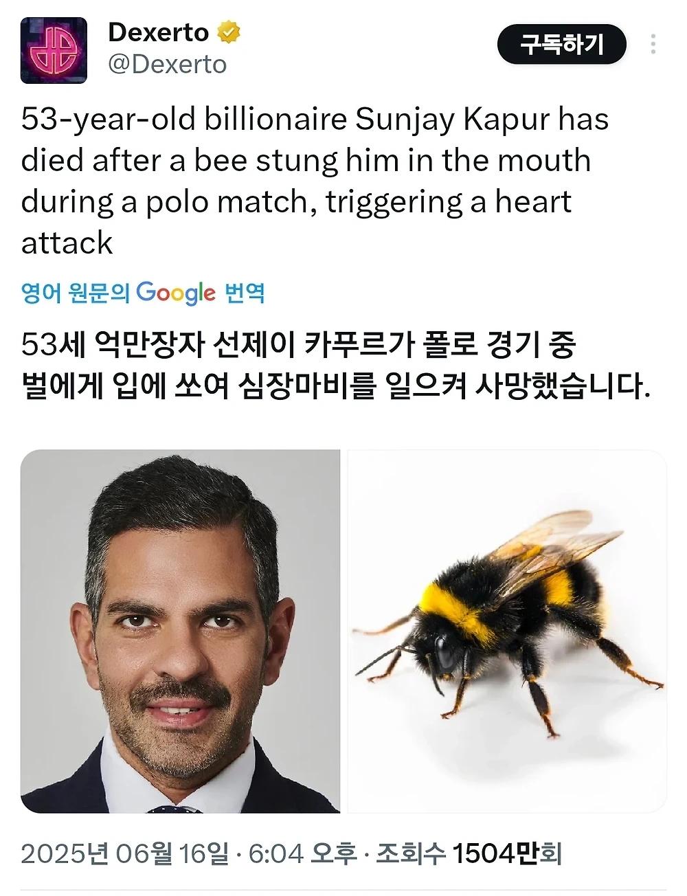 53세 억만장자 벌에 쏘여 사망1.webp.jpg