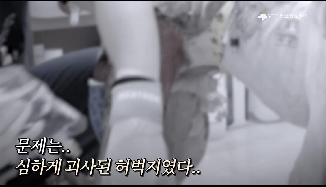 P_011.png.jpg