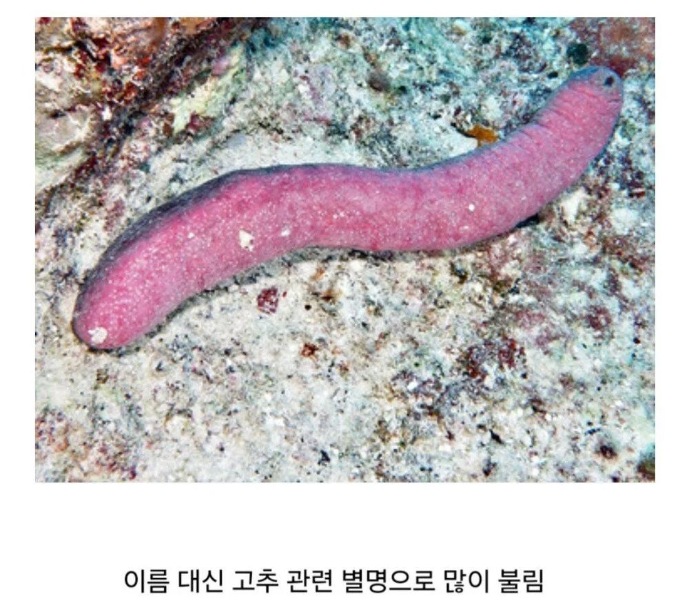 a.jpg