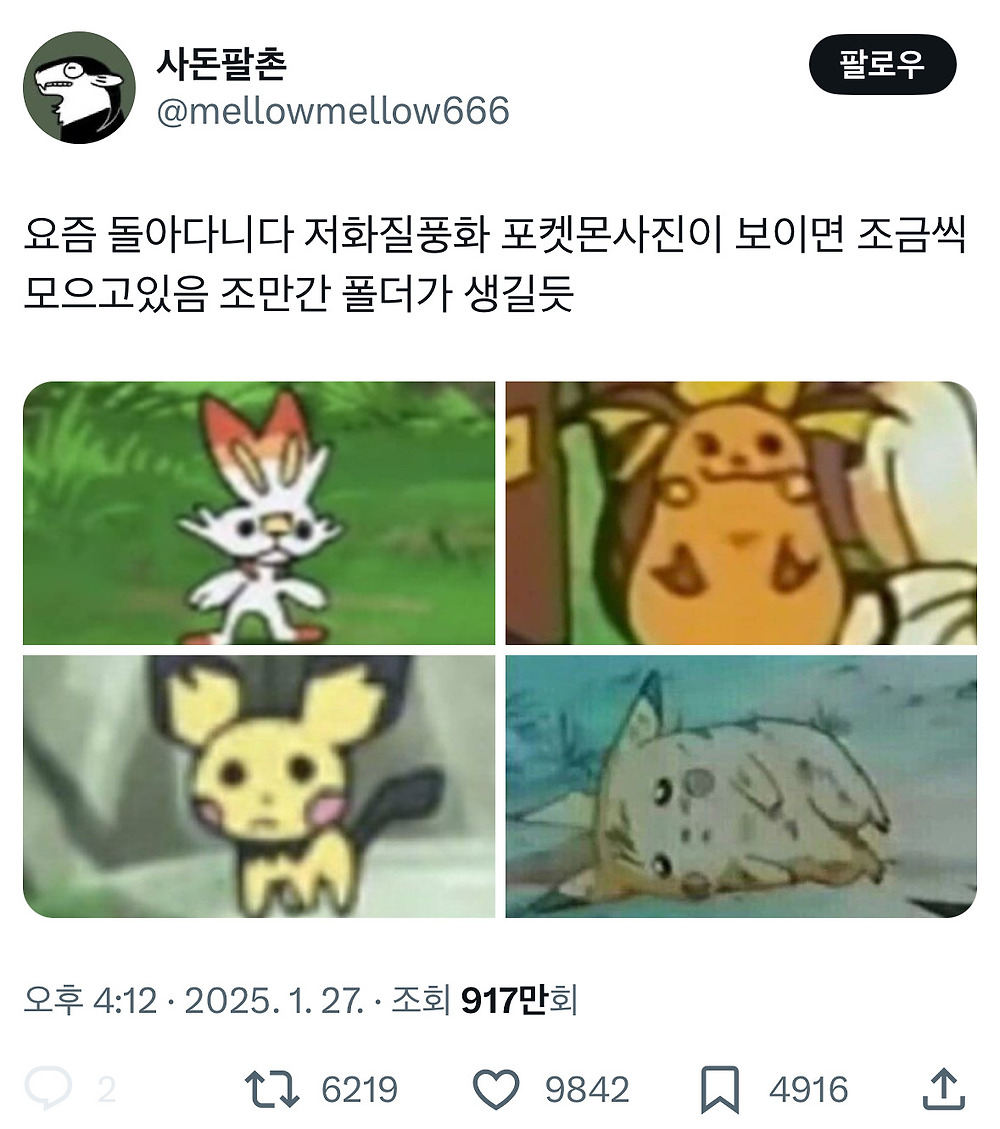 트위터에서 인기인 저화질 풍화 포켓몬1.jpg