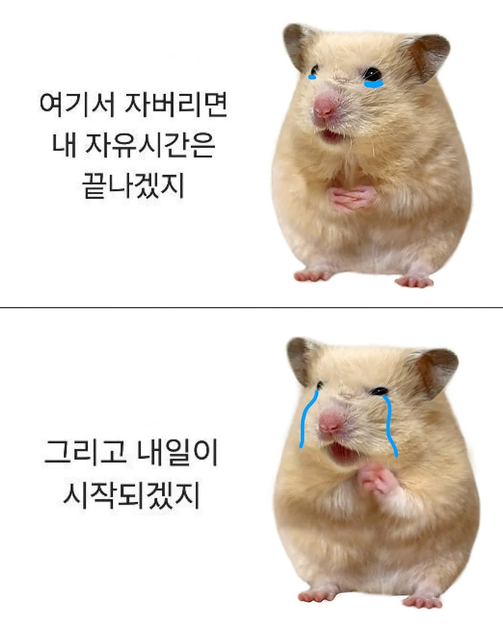 평소 운동을 한 덕분에 괴한들의 침입에서도 무사했어1.jpg