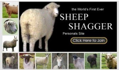 2.jpeg