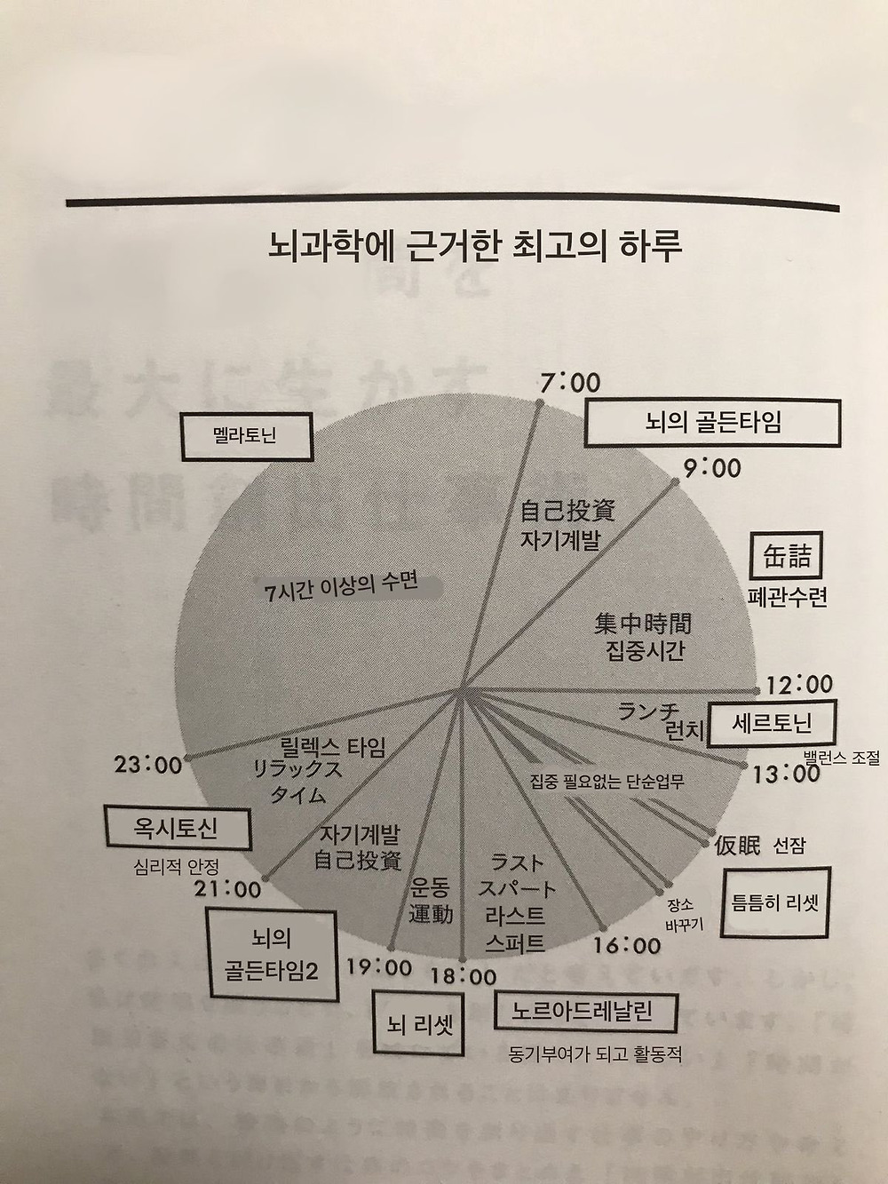 뇌과학에 근거한 최고의 하루1.jpg