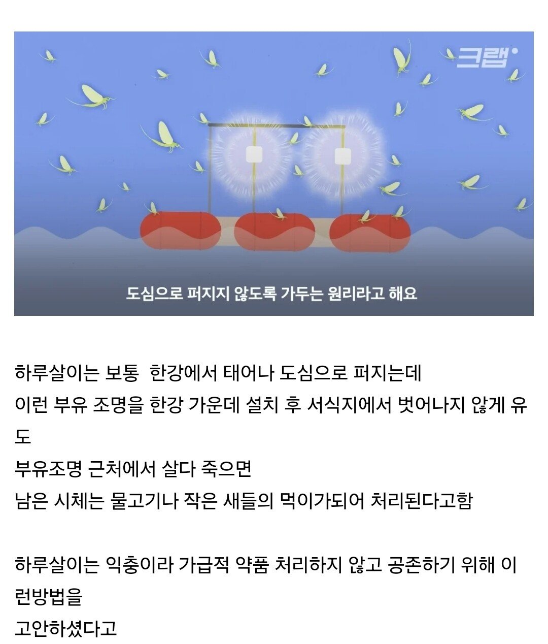 Screenshot_20250625_072004_Samsung Internet.jpg