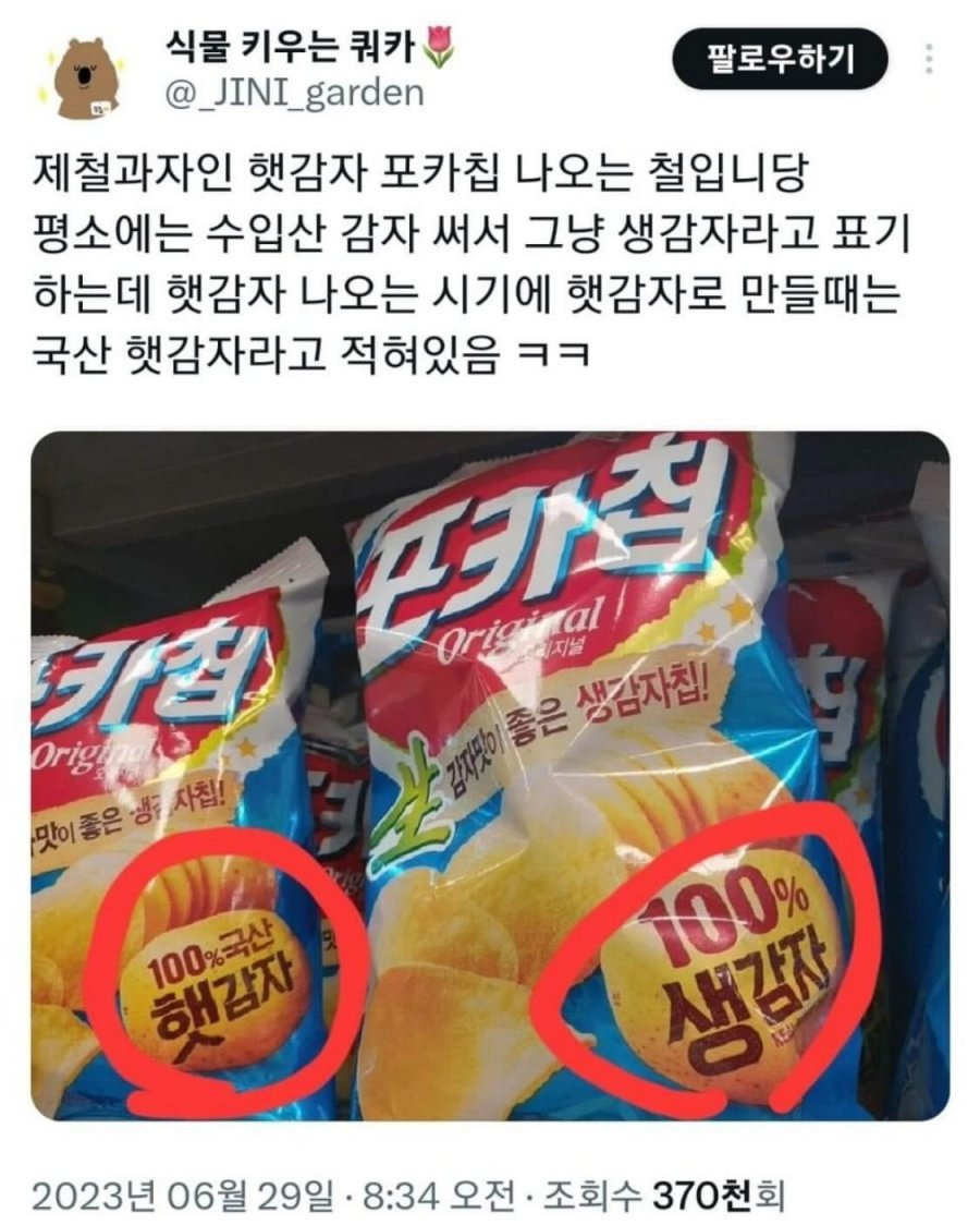 지금 부터 맛볼수 있는 한국 감자로 만든 감자칩1.jpg