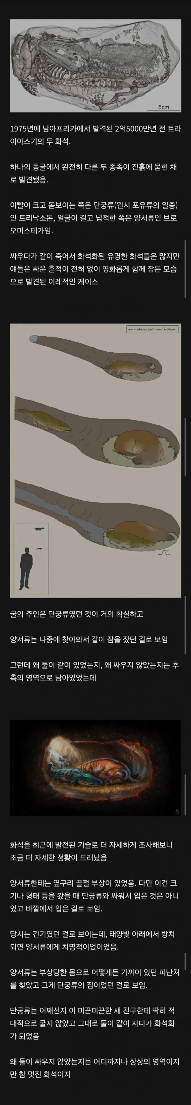1750924669762468.webp.ren.jpg