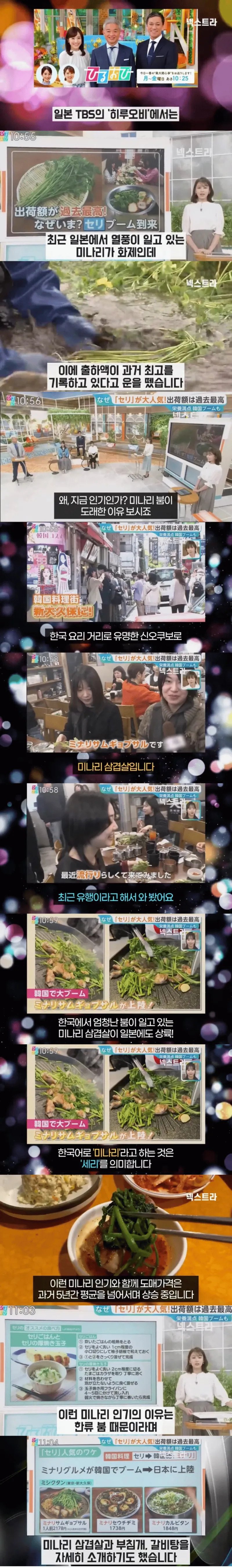 일본에서미나리열풍이부는이유1.webp.ren.jpg