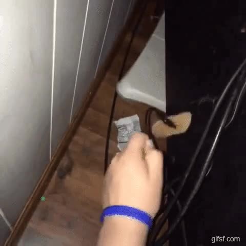 51151515.gif