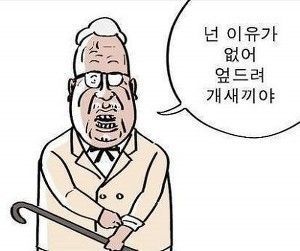 엎드려개새끼야.jpg