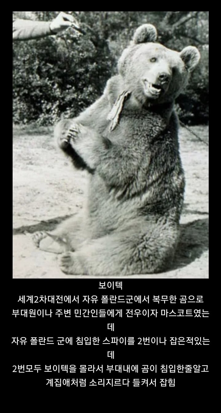 모르면 간첩의 실제사례1.jpg