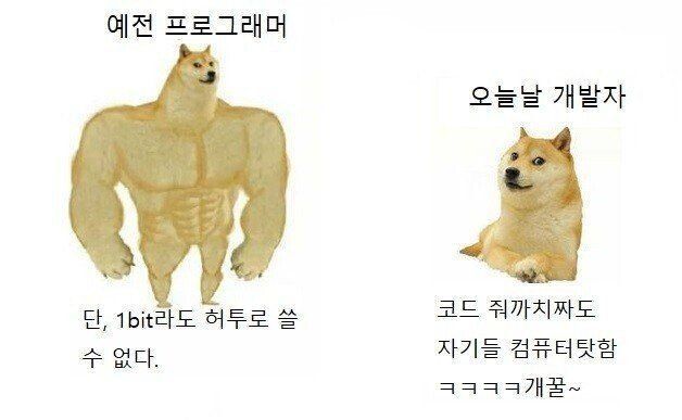 김짤.com_004.jpg