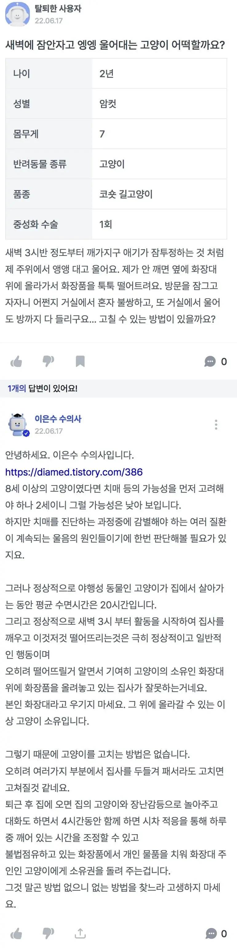 고양이가 새벽에 울어서 고민이라는 질문에 한 수의사의 답변1.webp.jpg