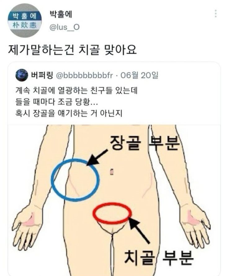 계속 치골에 열광하는 친구들 있는데_1.jpg