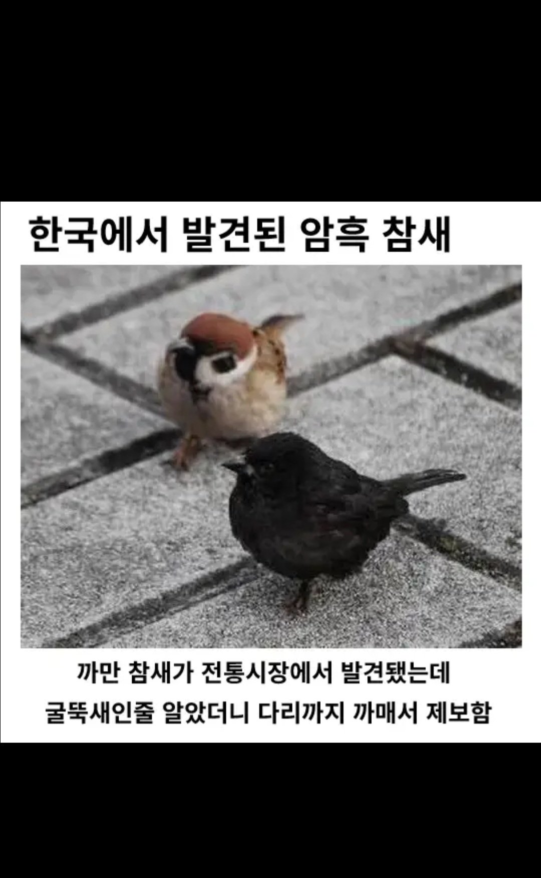 24post.co.kr_003.jpg