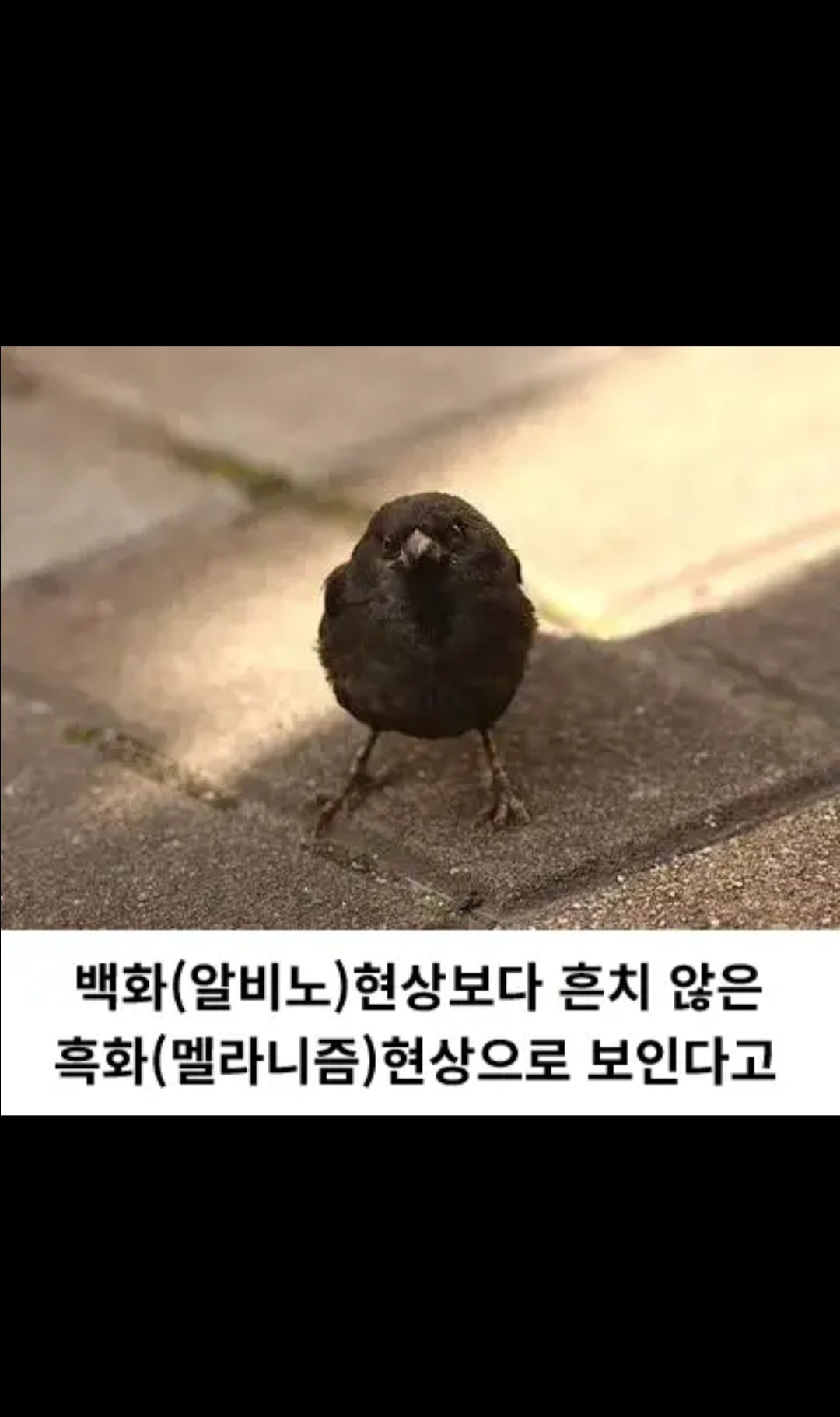24post.co.kr_004.jpg