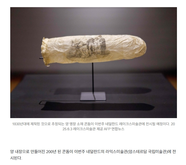200년 된 20㎝ 길이 콘돔, 소재는 양 내장1.jpg