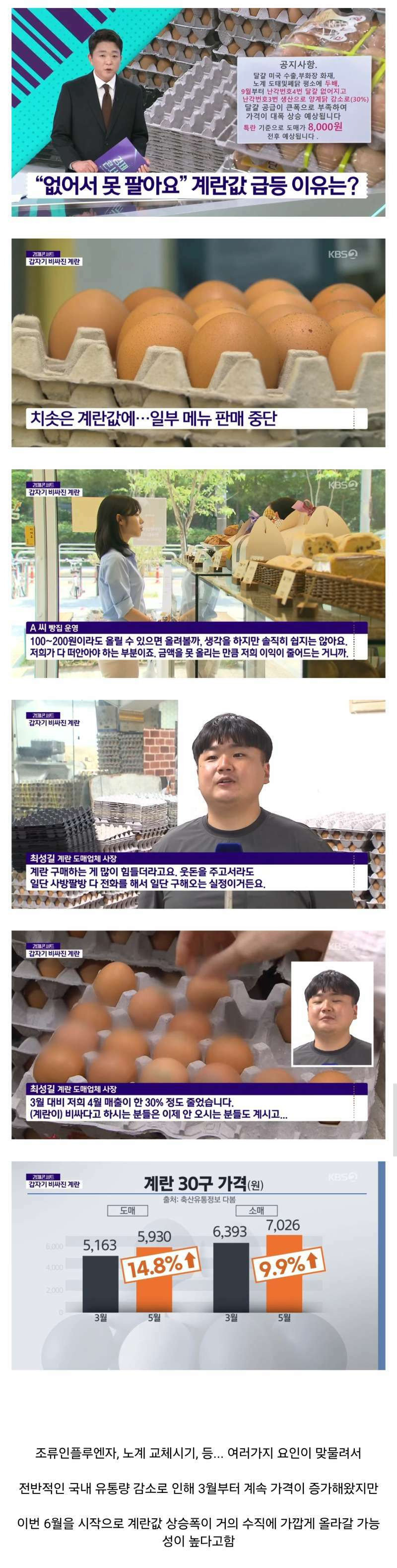 국내 계란값 폭등 조짐1.jpg