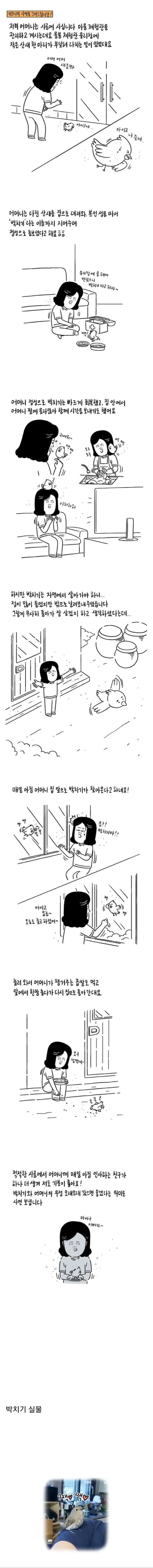 쓰러진산새를발견한어머니1.jpg