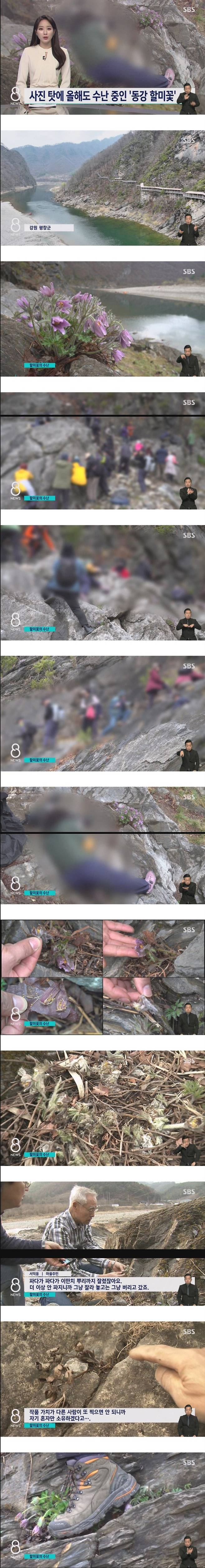 downloadfile_20250620161307.jpg