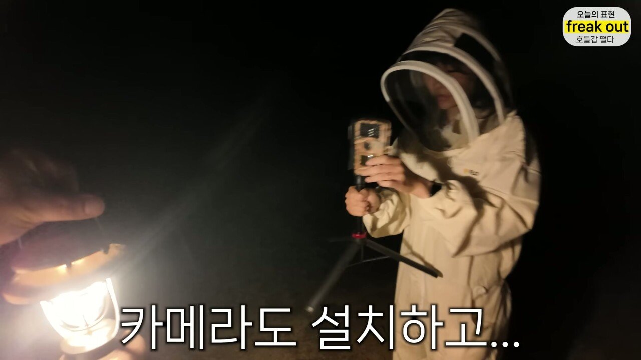P_010.jpg
