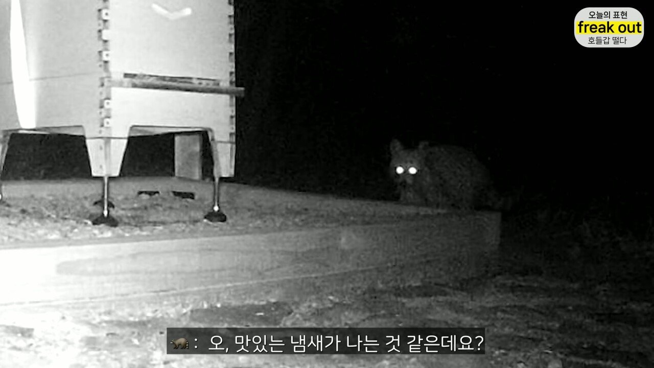 P_020.jpg