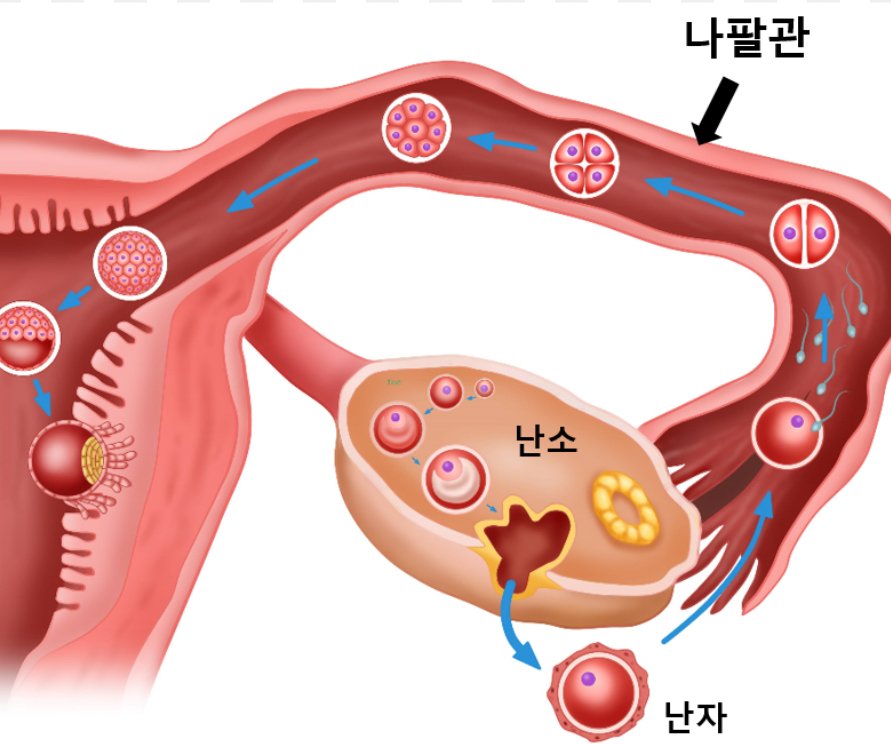 24post.co.kr_005.jpg