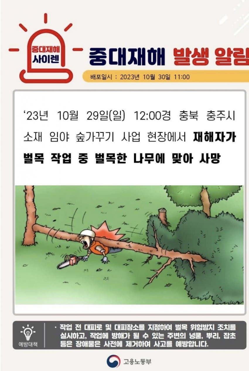 김짤.com_003.jpg