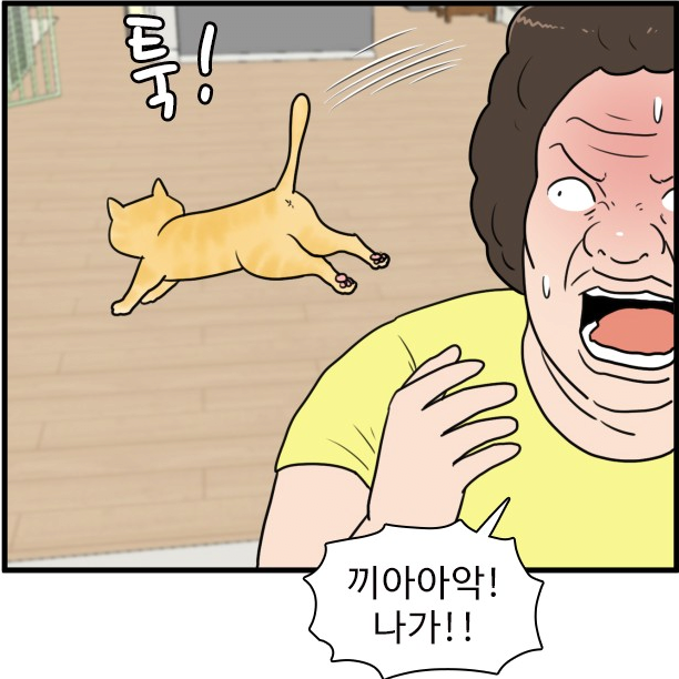 김짤.com_005.png