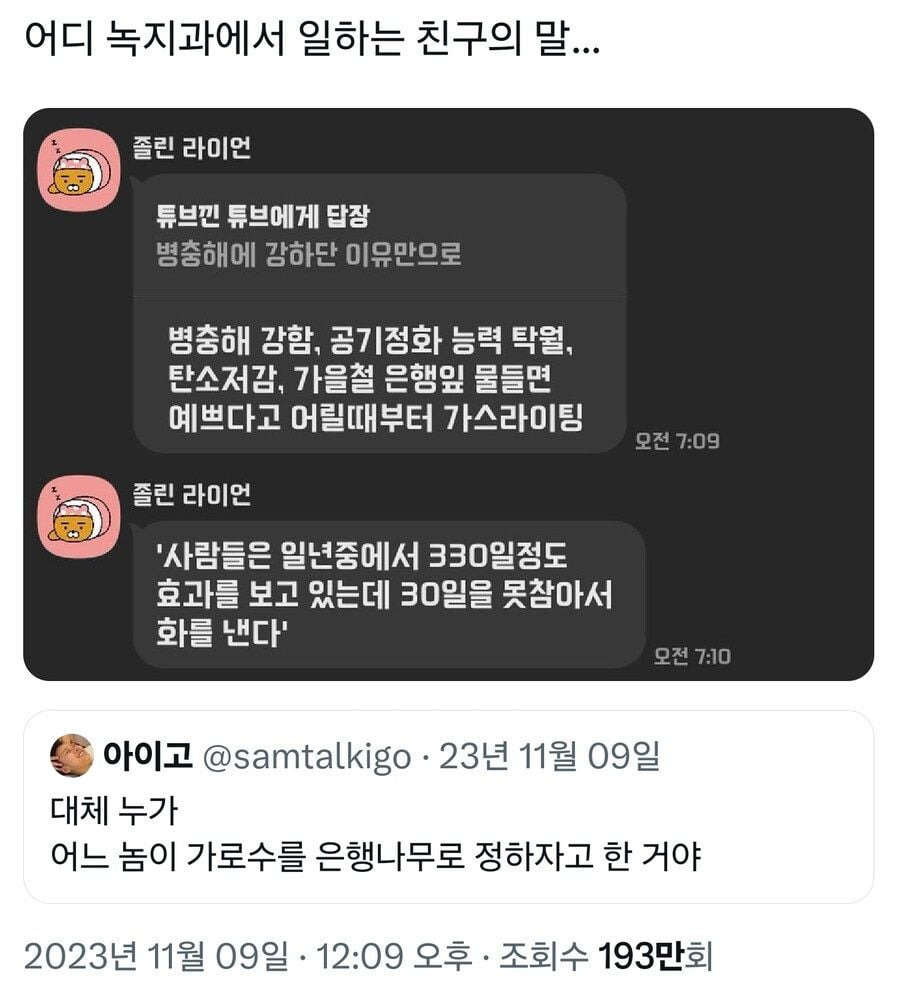 한국은 왜 이렇게 은행나무가 많은거야1.jpg