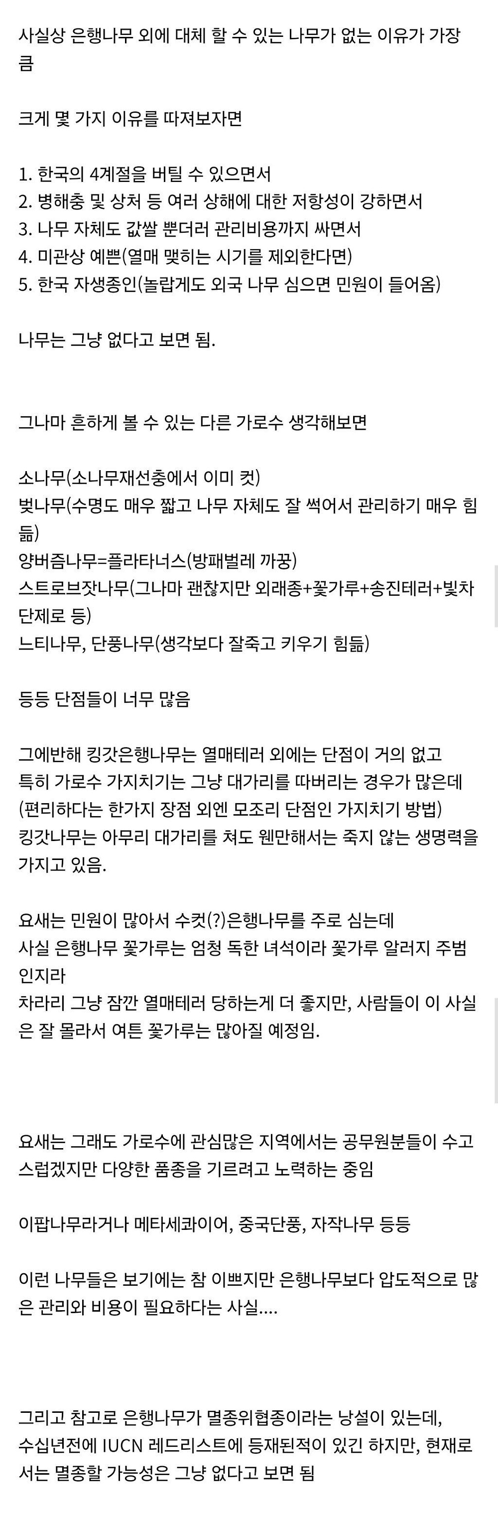 한국은 왜 이렇게 은행나무가 많은거야3.jpg