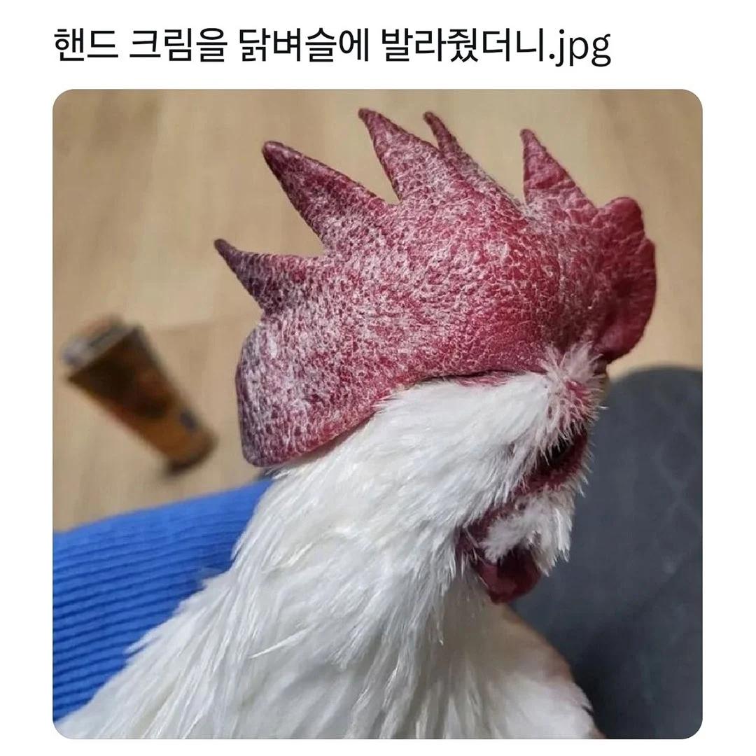 1.webp.jpg