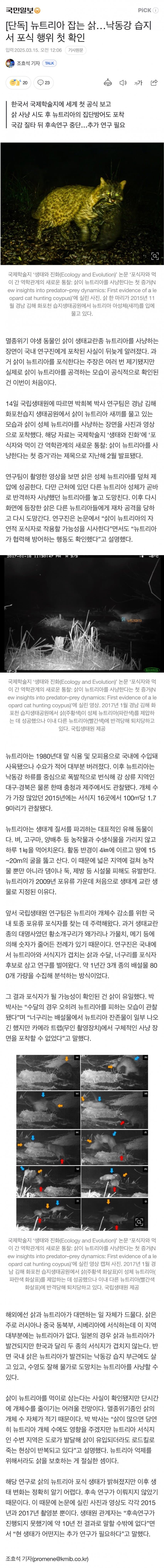 낙동강에서 뉴트리아 잡는 삵1.jpg