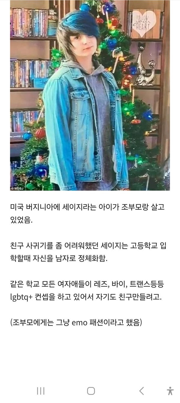 미국의 심각한 미성년자 트랜스젠더 문제1.jpg