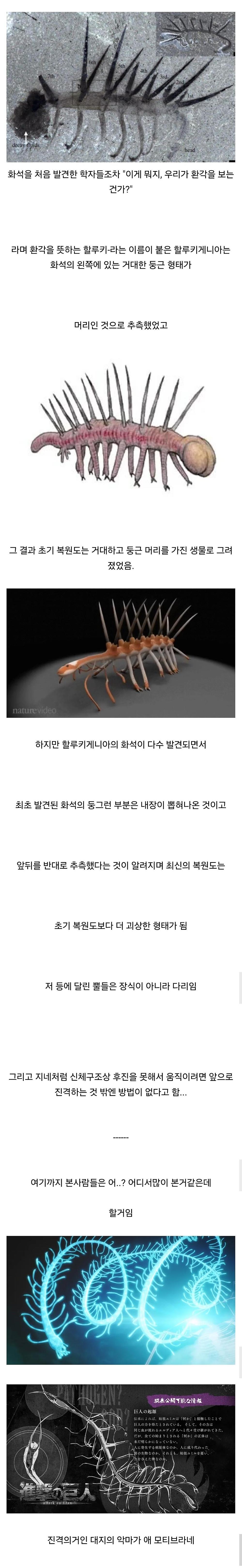 고생물학계를 혼란에 빠트린 고대생물1.jpg