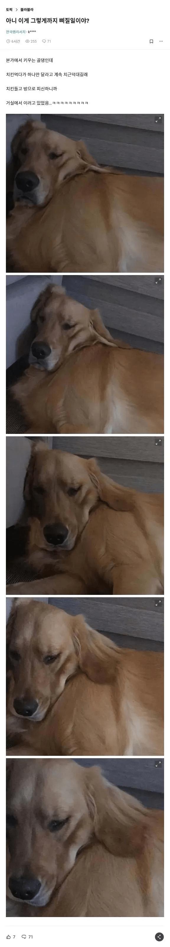 image.png.jpg