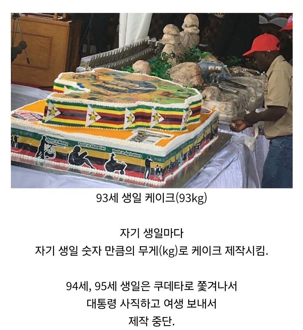 짐바브웨 독재자의 생일 케이크 퀄리티7.jpg