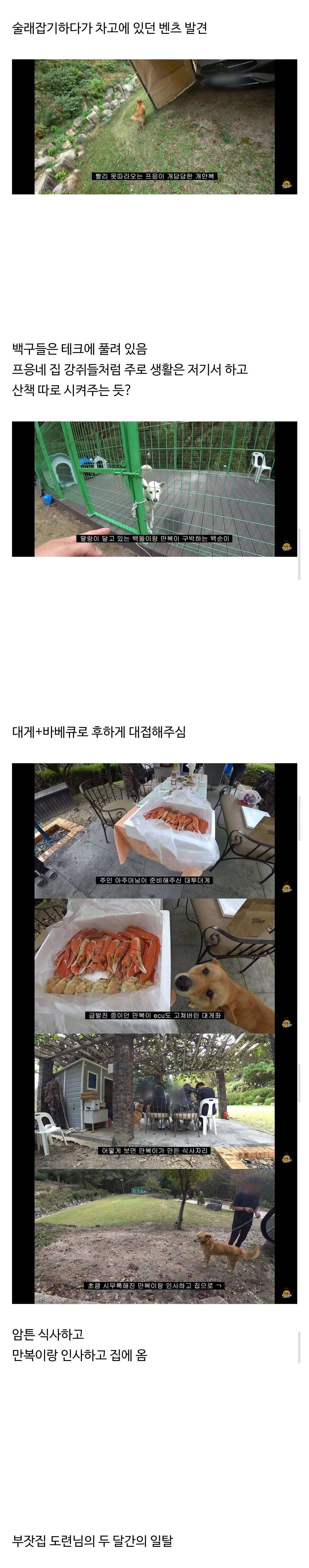 갑자기집에들어온떠돌이개가알고보니부잣집도련님4.jpg