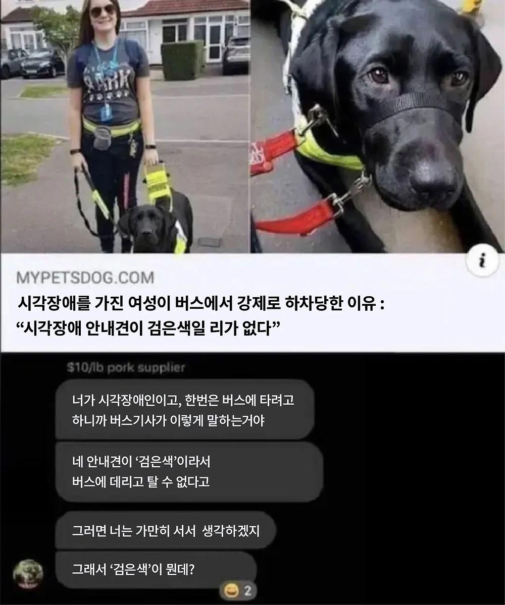 고전) 승차 거부당한 시각장애 안내견1.webp.jpg