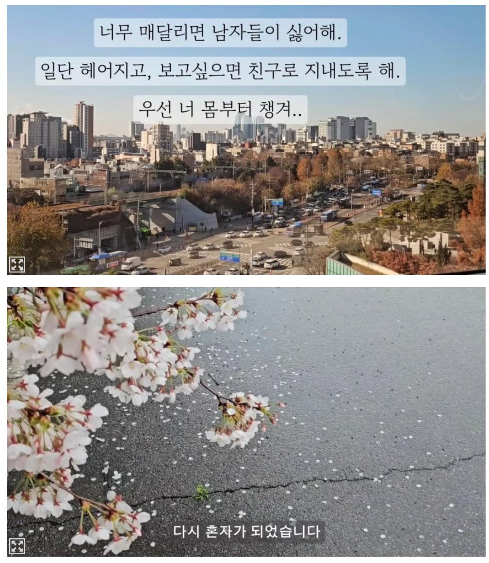 김짤닷컴_015.png.jpg