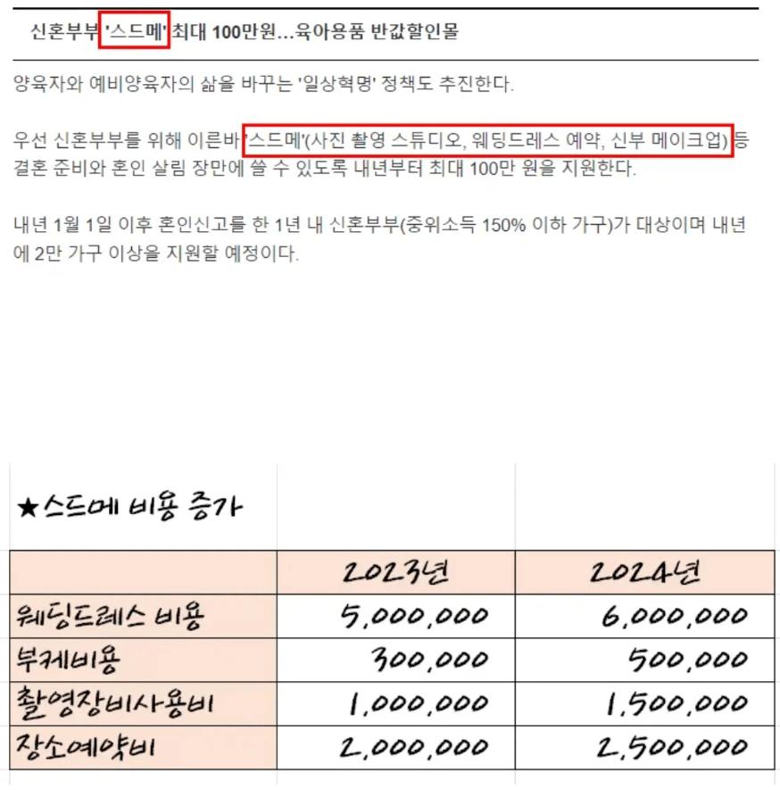 국가에서결혼식스드메비용100만원을지원해주면벌어지는일1.png.jpg