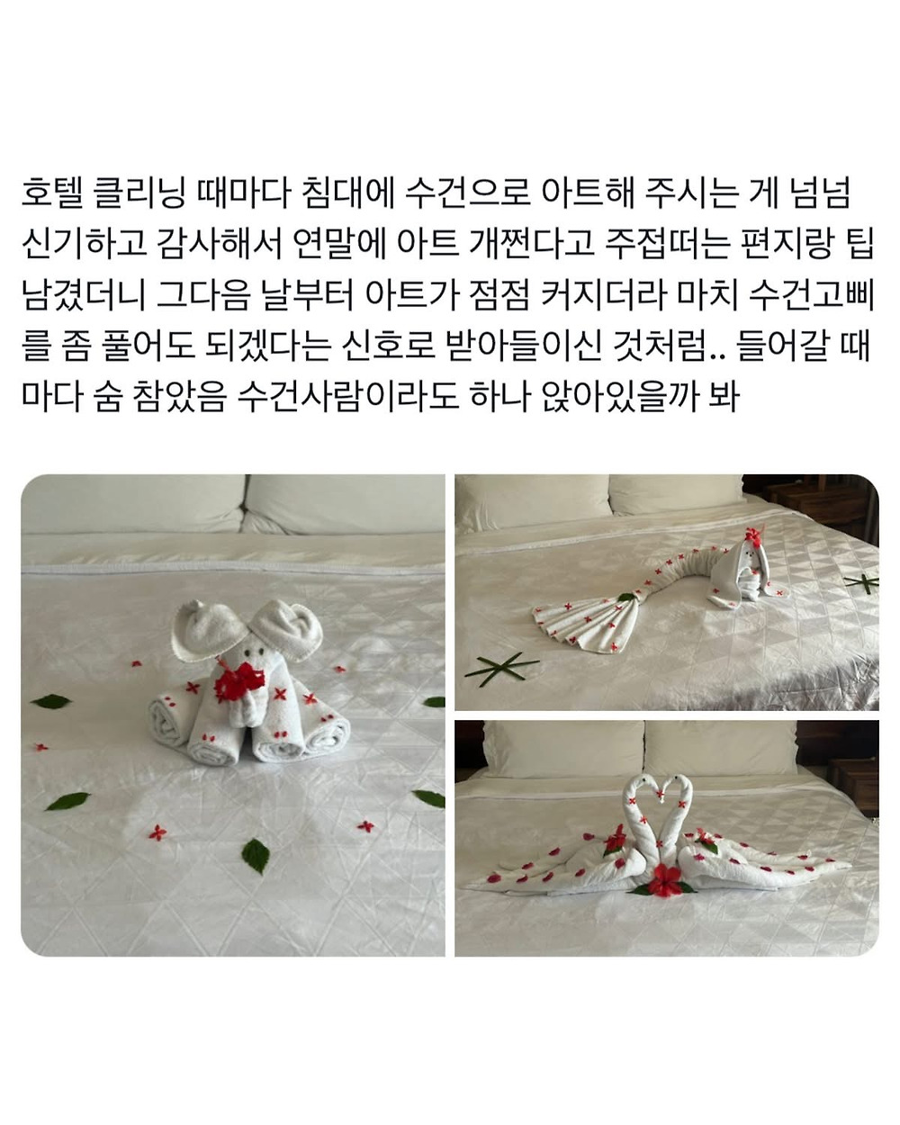 호텔 수건아트1.jpg