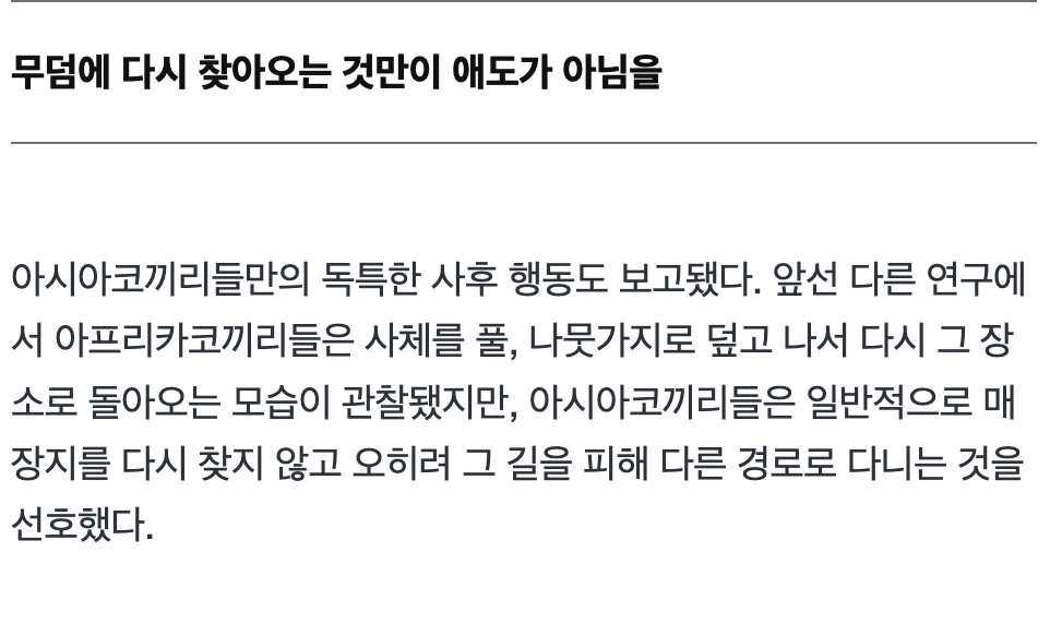 IMG_8754.webp.ren.jpg