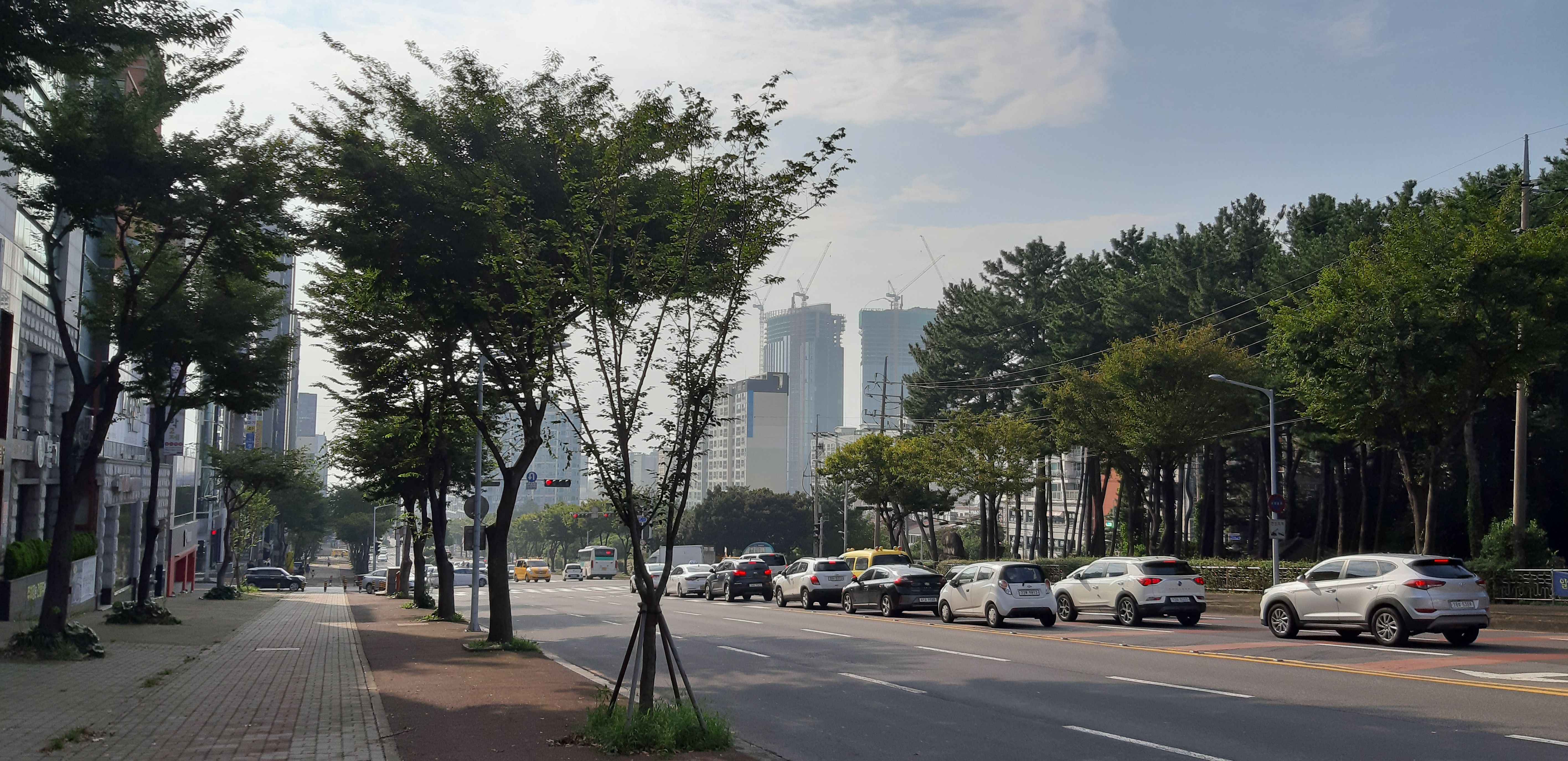 20190910_161720.jpg