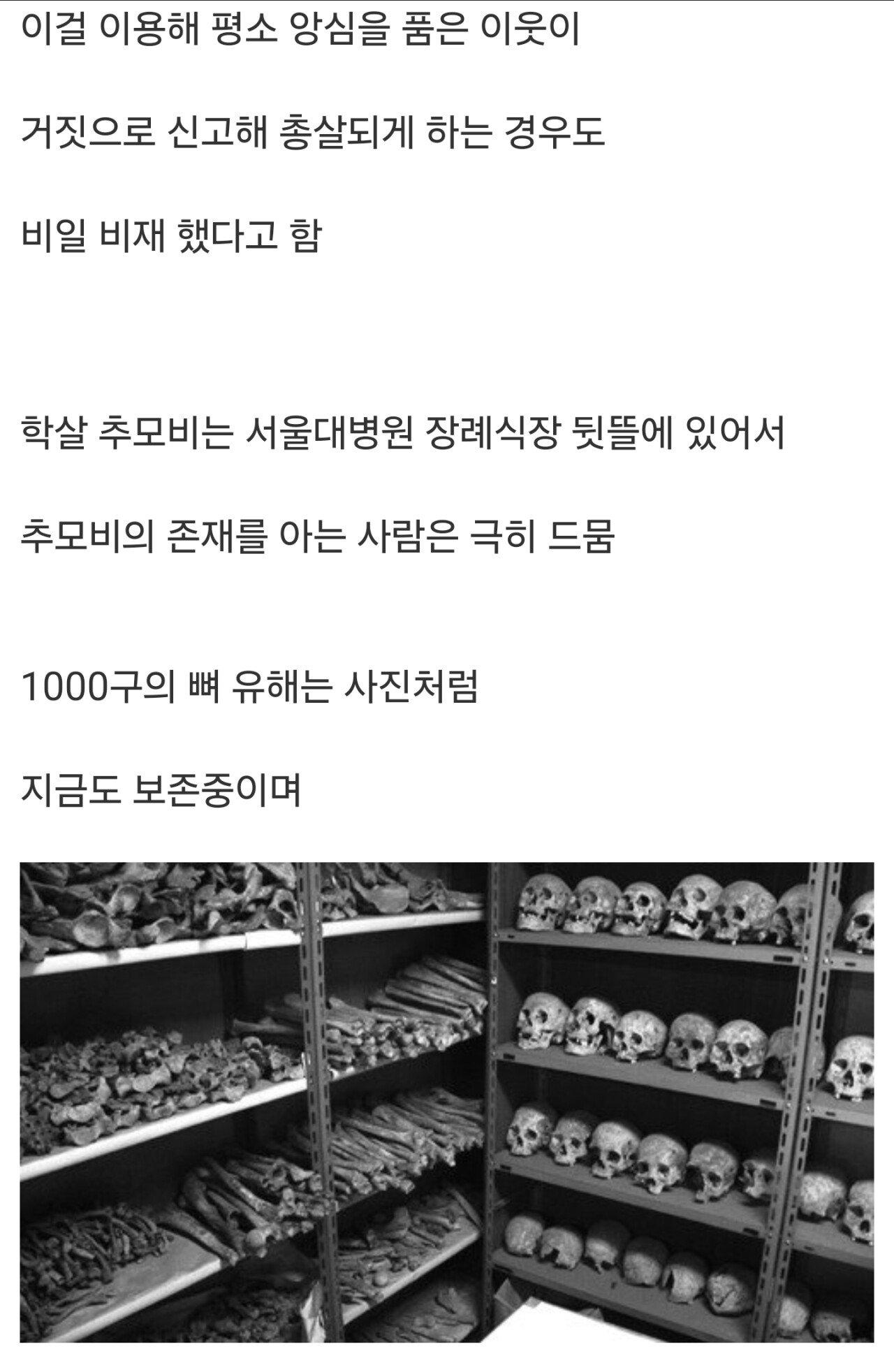 P_015.png.jpg