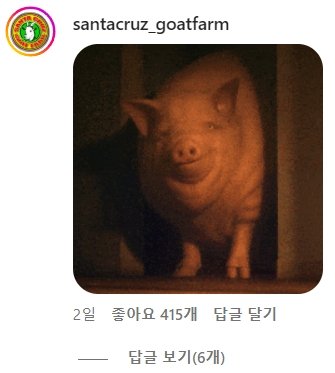P_005.jpg