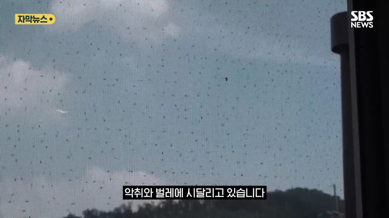 24post.co.kr_017.jpg