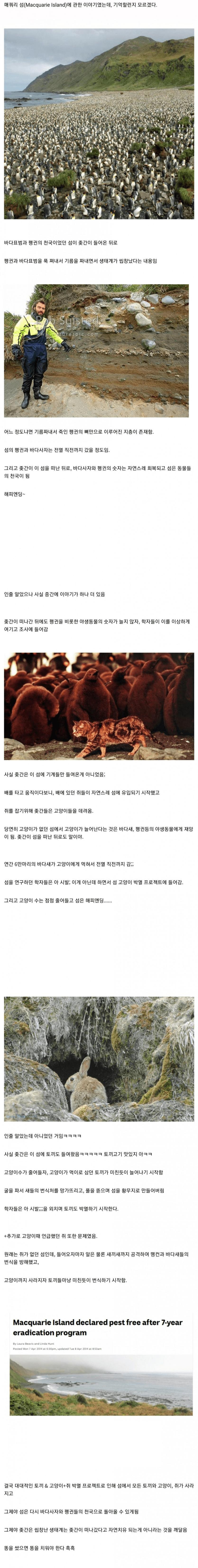 생태계를 곱창 냈으면 복구하십쇼 인간1.jpg