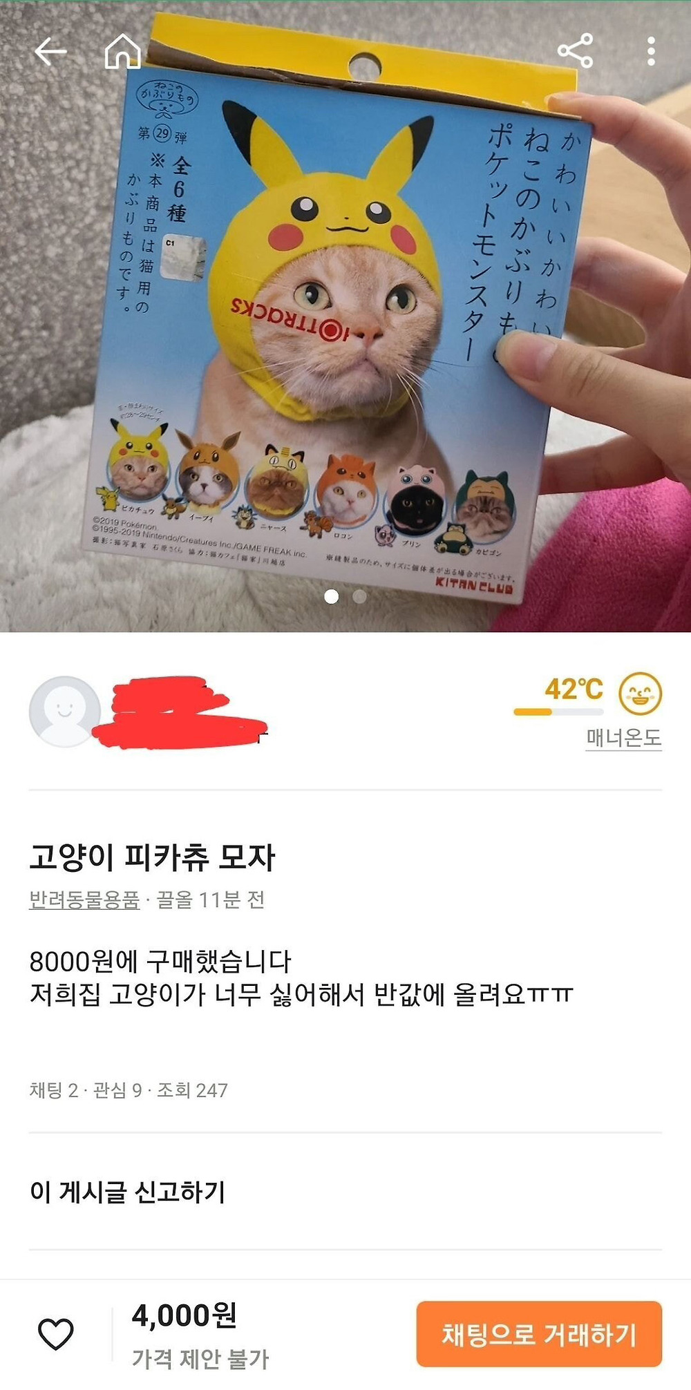 고양이 모자를 팔 수밖에 없는 이유1.jpg