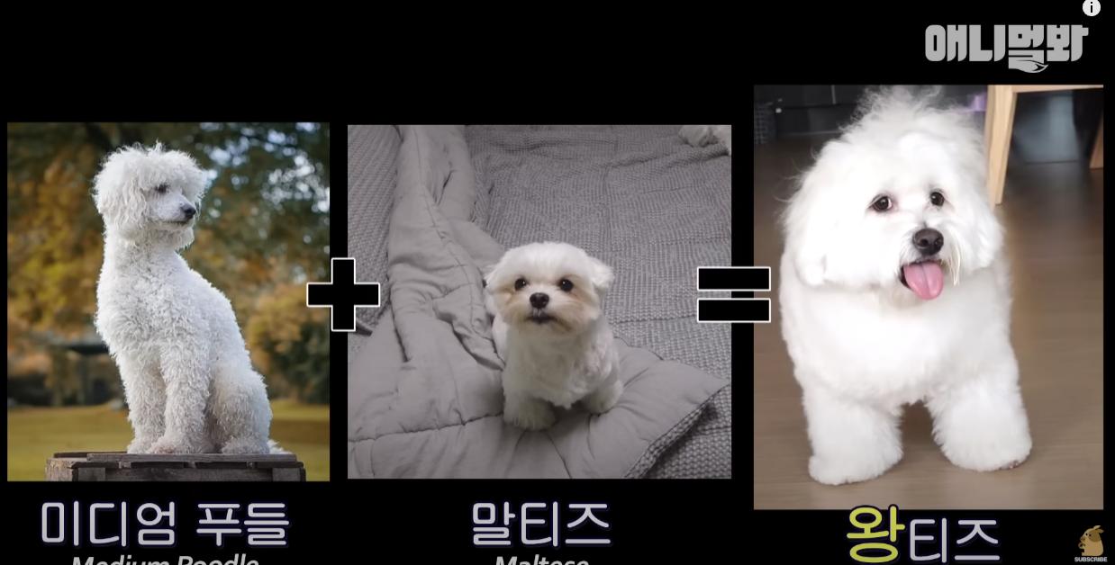 image.png.jpg