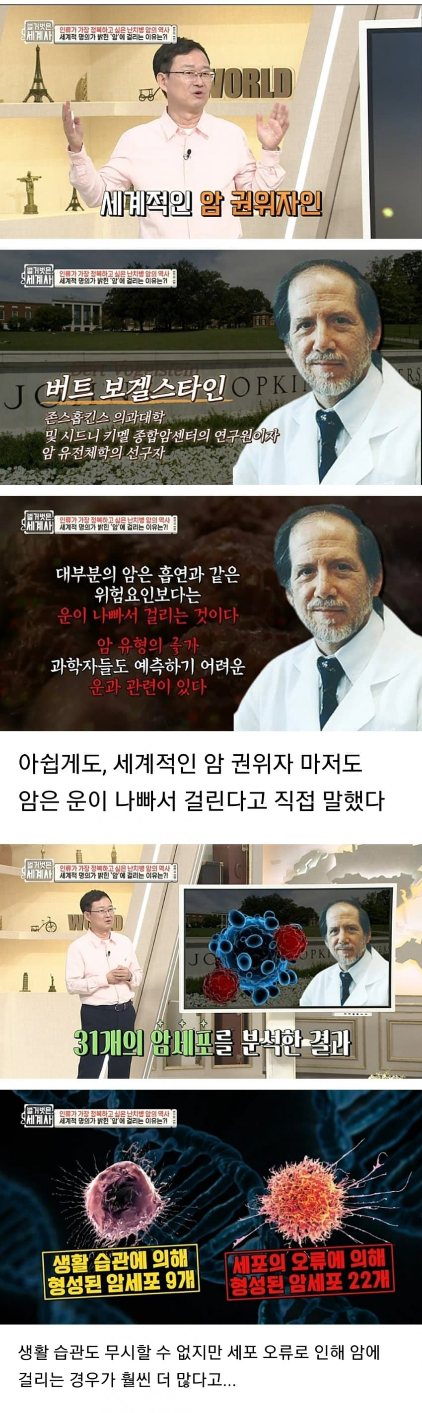 암 환자가 말하는 암 걸린 이유2.jpg